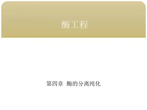 酶工程 第四章酶的分离纯化 第一节细胞破碎