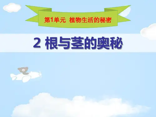 《根与径的奥秘》植物生活的秘密PPT课件【优质课件】