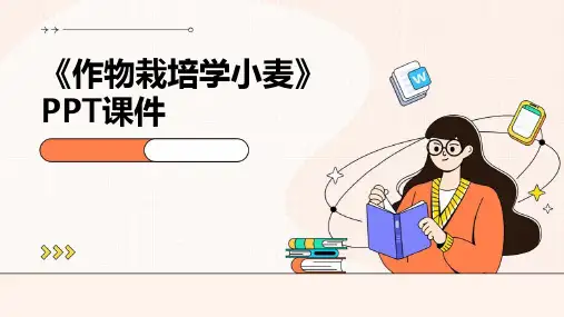 《作物栽培学小麦》课件