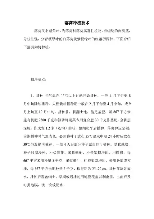 落葵种植技术.doc
