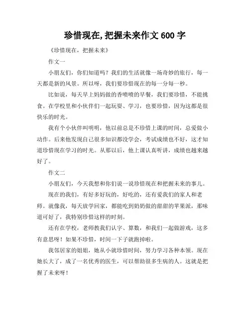 珍惜现在,把握未来作文600字