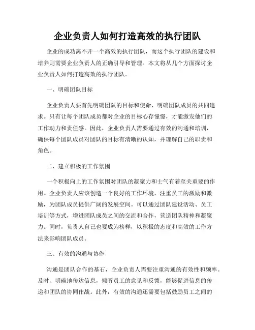 企业负责人如何打造高效的执行团队