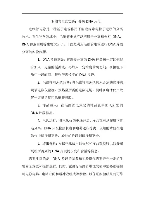 毛细管电泳实验：分离DNA片段