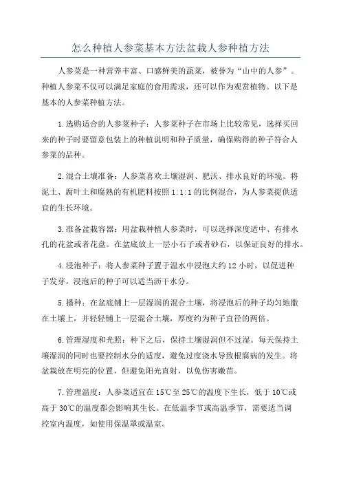 怎么种植人参菜基本方法盆栽人参种植方法