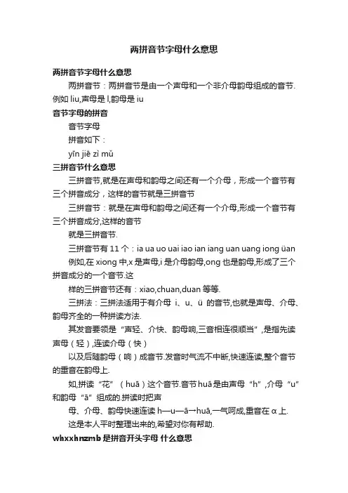 两拼音节字母什么意思