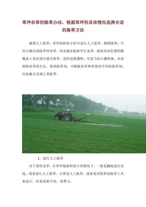 草坪杂草的除草办法,根据草坪的具体情况选择合适的除草方法