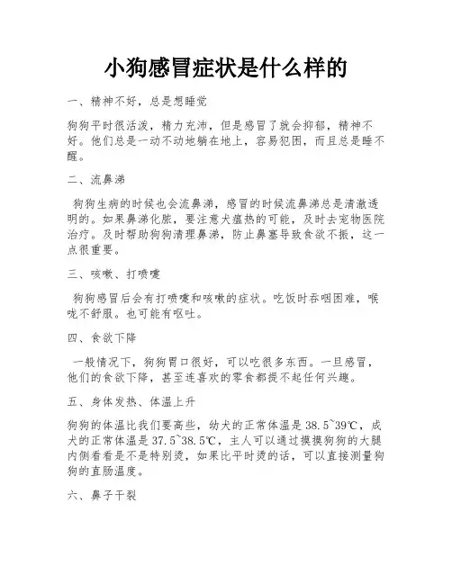 小狗感冒症状是什么样的
