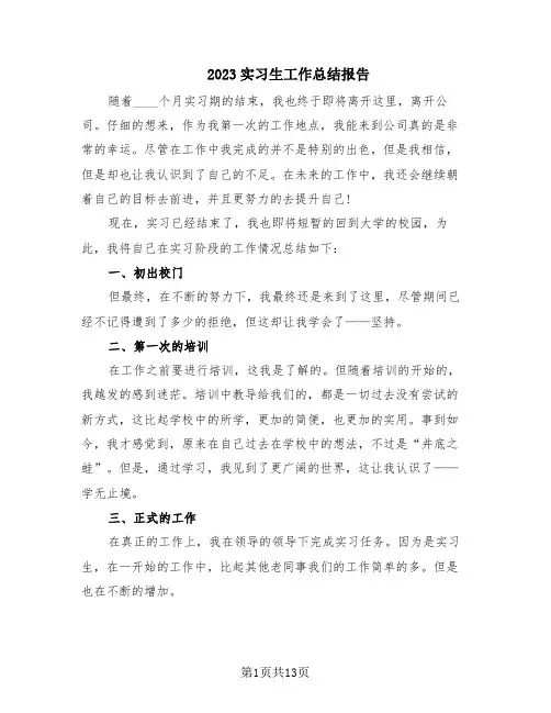 2023实习生工作总结报告(10篇)