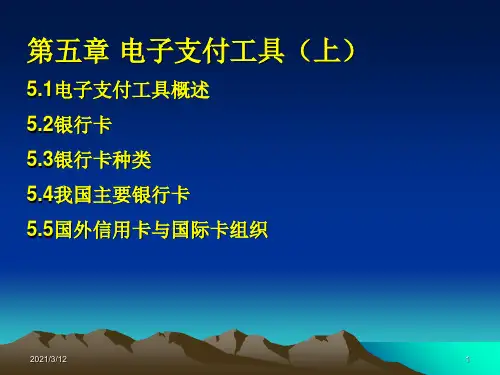 第5章电子支付工具上PPT课件
