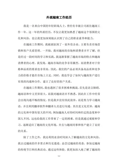 外派越南工作经历