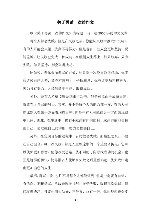 关于再试一次的作文