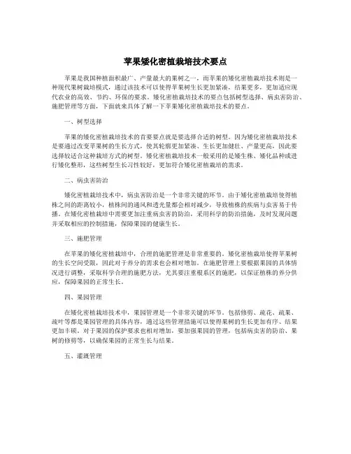 苹果矮化密植栽培技术要点
