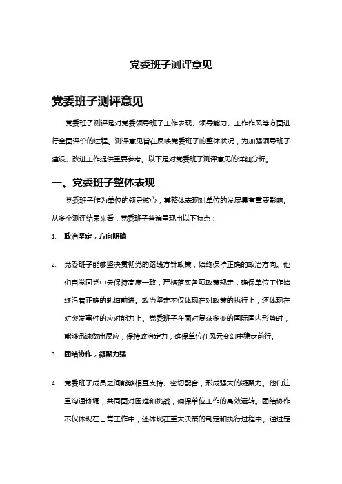 党委班子测评意见