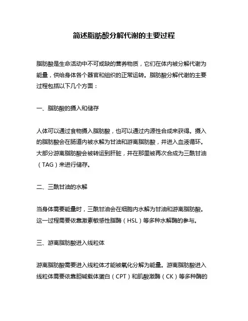简述脂肪酸分解代谢的主要过程