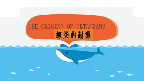 科技英语翻译ppt(3)
