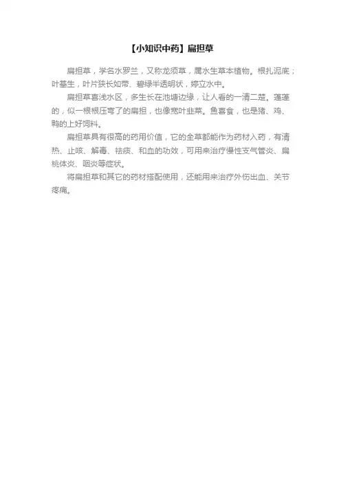 【小知识中药】扁担草