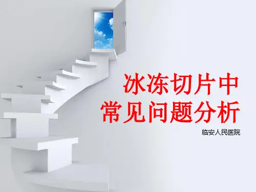 冰冻切片中常见问题分析
