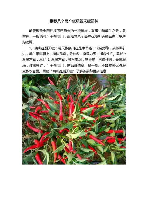 推荐八个高产优质朝天椒品种