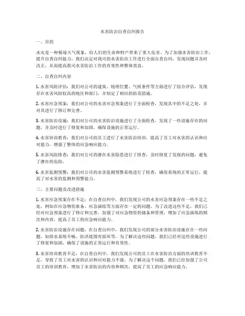 水害防治自查自纠报告