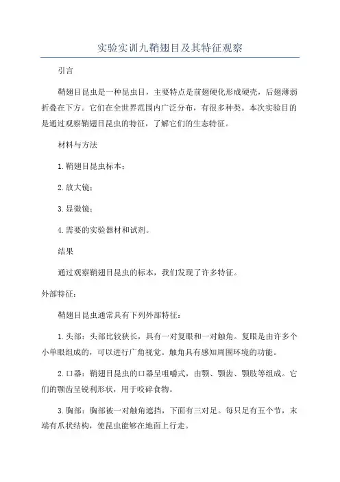 实验实训九鞘翅目及其特征观察