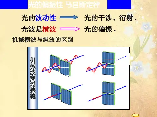 课件：光的偏振 马吕斯定律