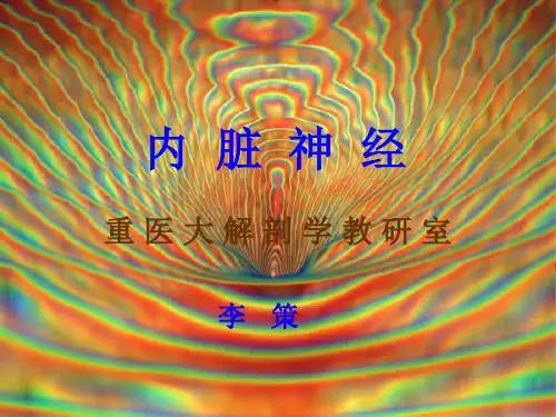 内脏神经及感觉传导路