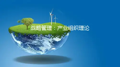 课件：战略管理-产业组织理论