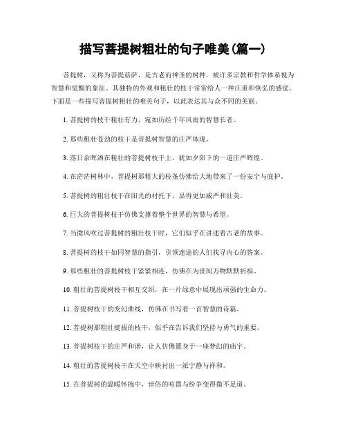 描写菩提树粗壮的句子唯美(精选2篇)