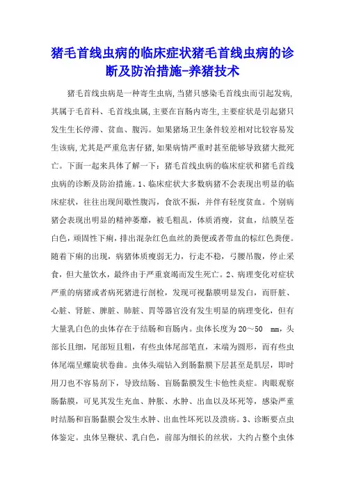 猪毛首线虫病的临床症状 猪毛首线虫病的诊断及防治措施 - 养猪技术