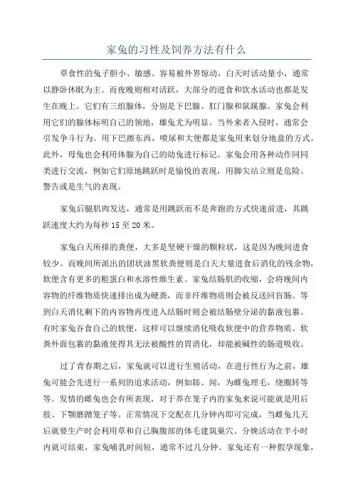 家兔的习性及饲养方法有什么