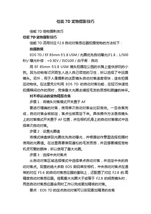 佳能7D宠物摄影技巧