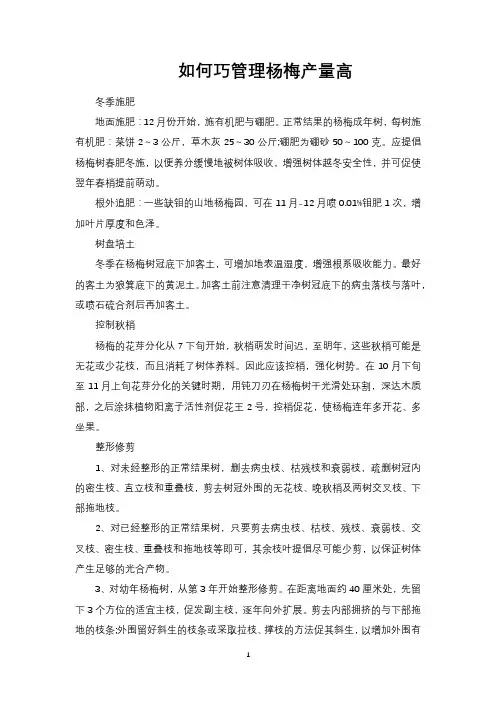如何巧管理杨梅产量高