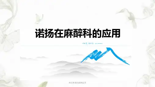 布托啡诺的麻醉应用课件