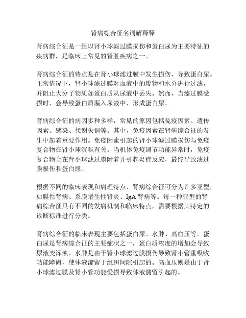 肾病综合征名词解释释