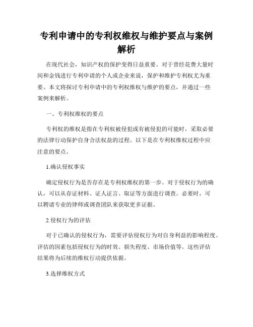 专利申请中的专利权维权与维护要点与案例解析