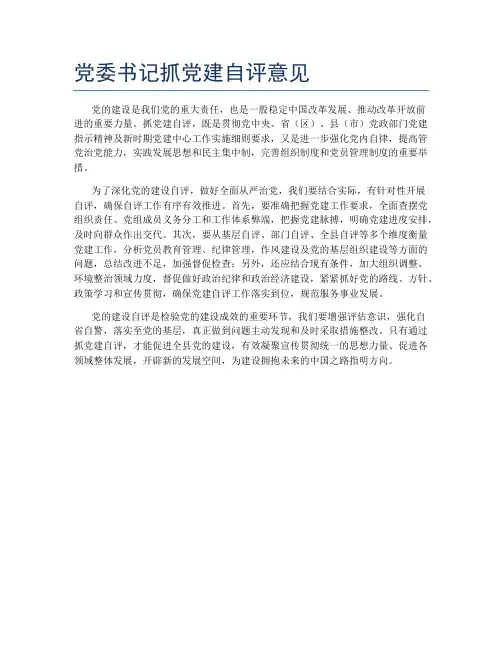 党委书记抓党建自评意见
