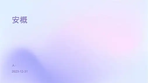 安检概论课件PPT