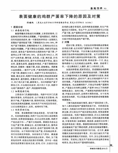 表面健康的鸡群产蛋率下降的原因及对策