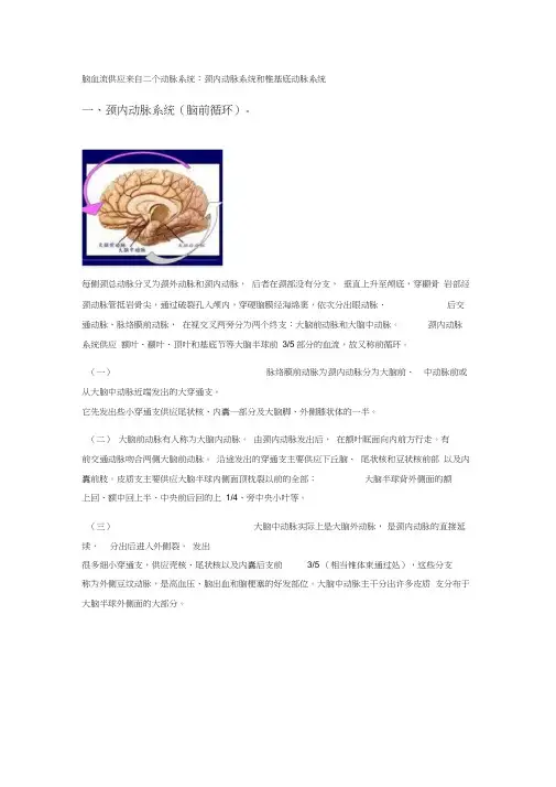 脑血流供应来自二个动脉系统