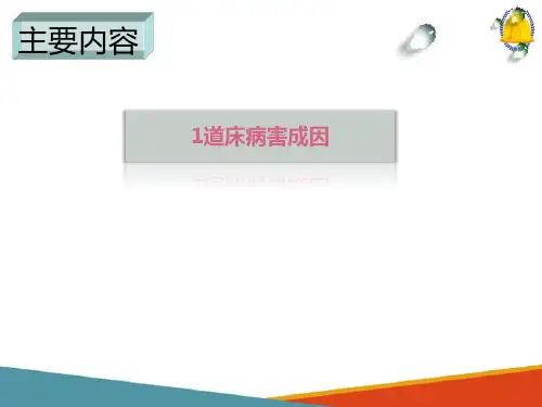 隧道道床病害—基础知识