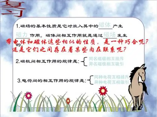 第十六章第2节 电流的磁场(课时1)
