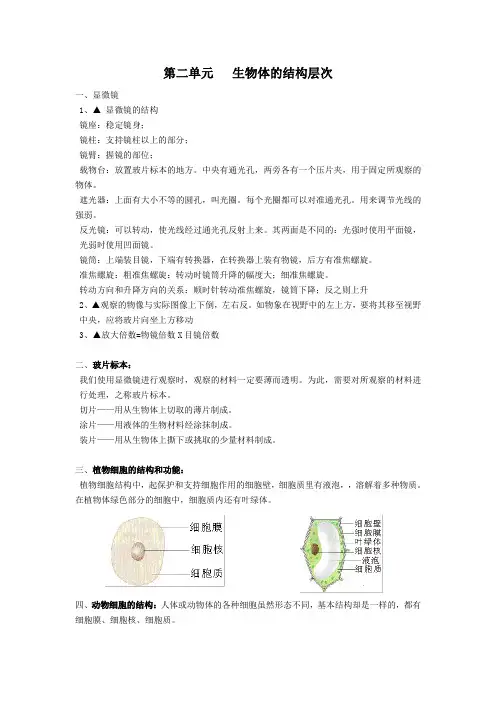 七年级生物上册 第二单元 生物体的结构层次知识点汇总