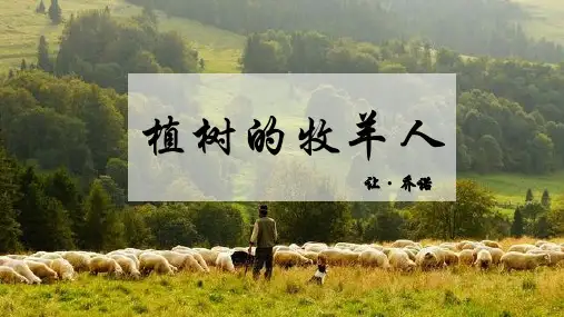 统编版语文七年级上册第13课《植树的牧羊人》课件(共34页)