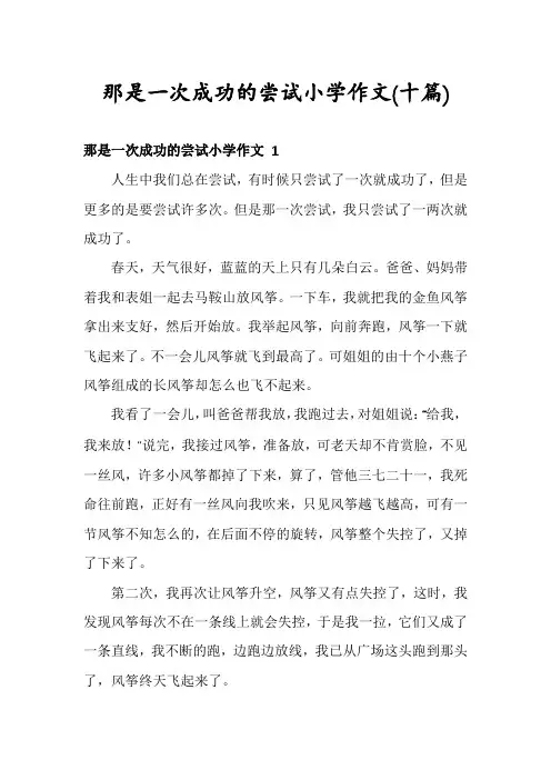 那是一次成功的尝试小学作文(十篇)