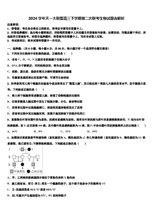 2024学年天一大联盟高三下学期第二次联考生物试题含解析含解析