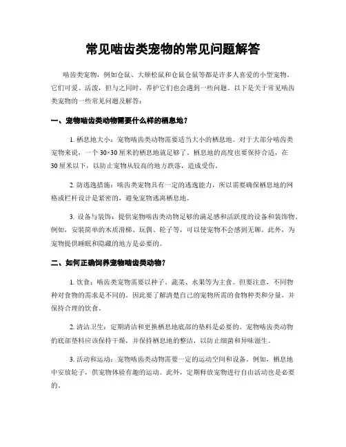 常见啮齿类宠物的常见问题解答