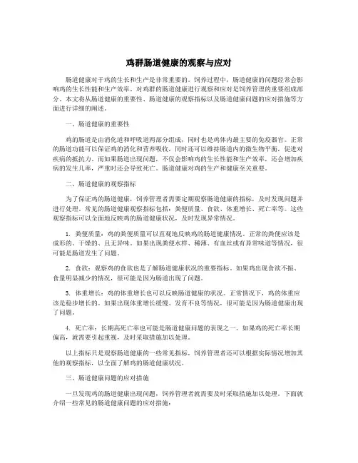鸡群肠道健康的观察与应对