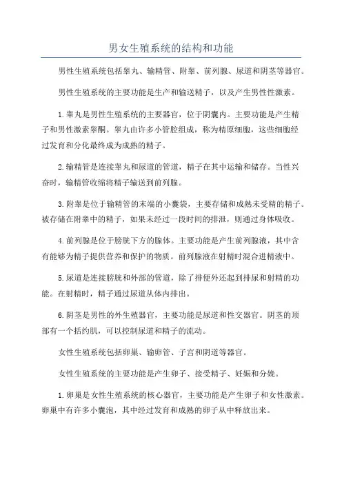 男女生殖系统的结构和功能