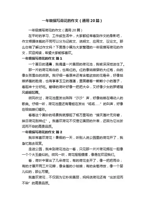 一年级描写荷花的作文（通用20篇）