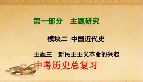 2018年新课标人教版初中中考历史第一轮复习课件13(专题拔高特训)